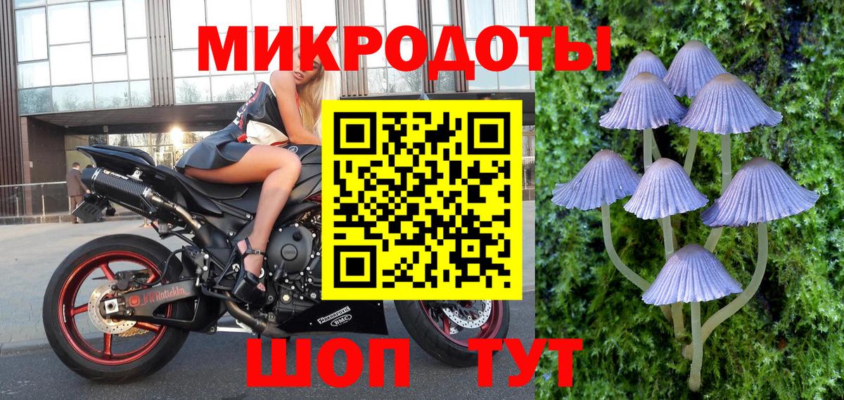 Галлюциногенные грибы MAGIC MUSHROOMS  продажа наркотиков  Балтийск  Псилоцибиновые грибы мицелий  Вход с VPN 